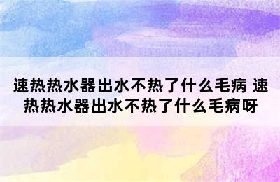 速热热水器出水不热了什么毛病 速热热水器出水不热了什么毛病呀